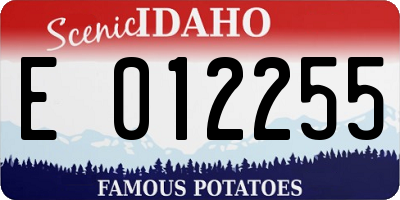 ID license plate E012255