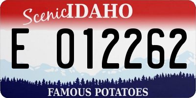 ID license plate E012262