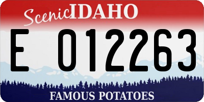 ID license plate E012263