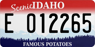 ID license plate E012265