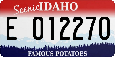 ID license plate E012270