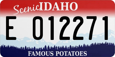 ID license plate E012271