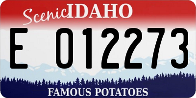 ID license plate E012273