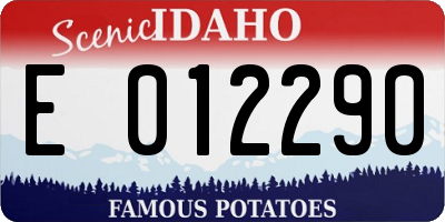 ID license plate E012290