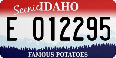 ID license plate E012295