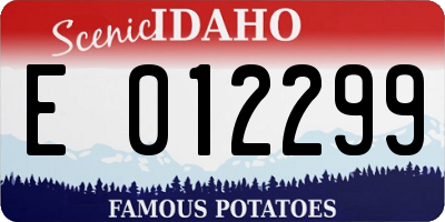 ID license plate E012299