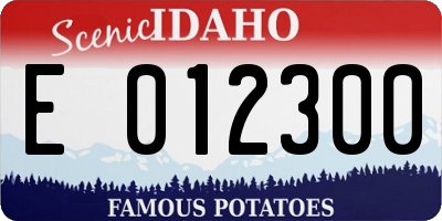 ID license plate E012300