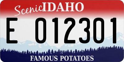 ID license plate E012301