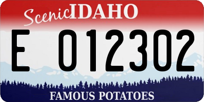 ID license plate E012302