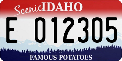 ID license plate E012305