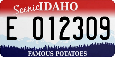 ID license plate E012309
