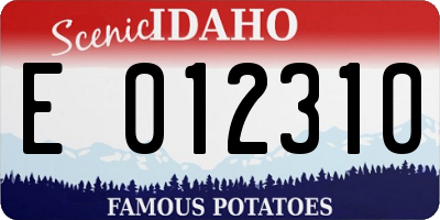 ID license plate E012310