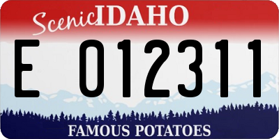 ID license plate E012311