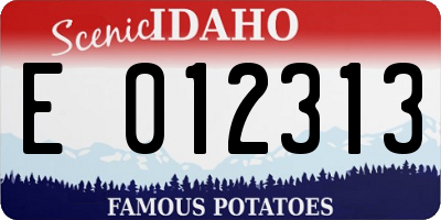 ID license plate E012313