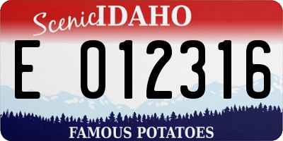 ID license plate E012316