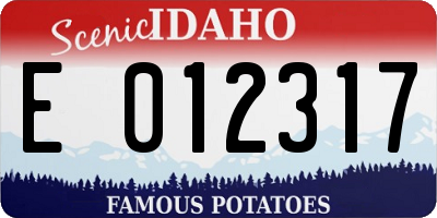 ID license plate E012317