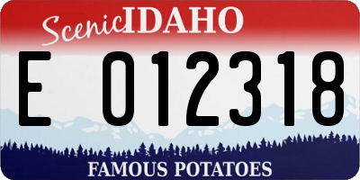 ID license plate E012318
