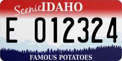 ID license plate E012324