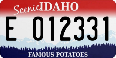 ID license plate E012331