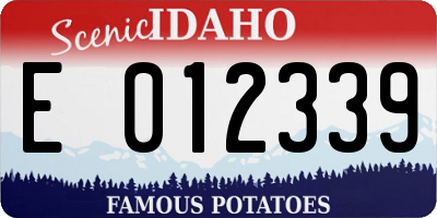 ID license plate E012339