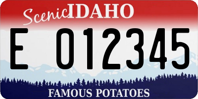 ID license plate E012345