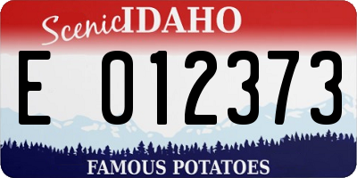 ID license plate E012373
