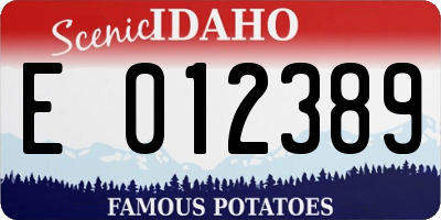 ID license plate E012389