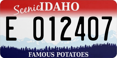 ID license plate E012407