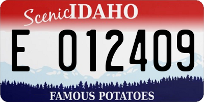 ID license plate E012409