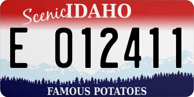 ID license plate E012411