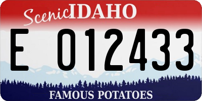 ID license plate E012433