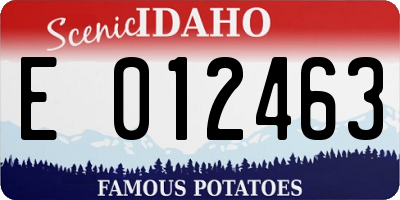 ID license plate E012463