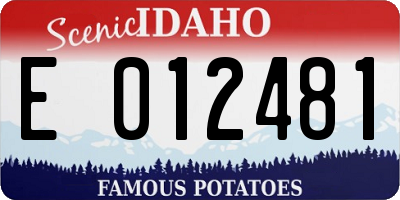 ID license plate E012481