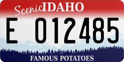 ID license plate E012485