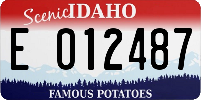 ID license plate E012487