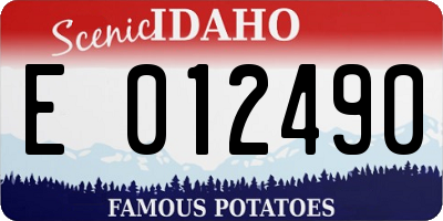 ID license plate E012490