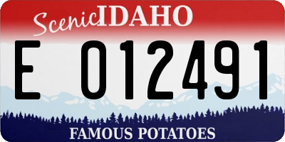 ID license plate E012491