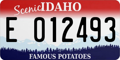 ID license plate E012493