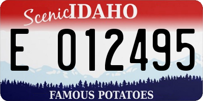 ID license plate E012495