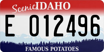 ID license plate E012496