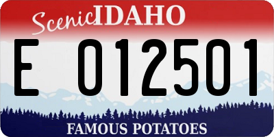 ID license plate E012501