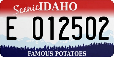 ID license plate E012502