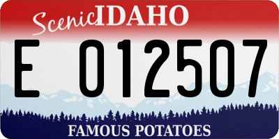 ID license plate E012507
