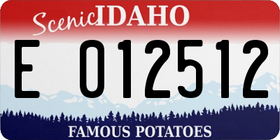 ID license plate E012512