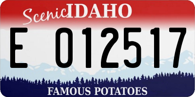ID license plate E012517
