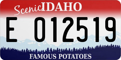 ID license plate E012519