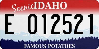 ID license plate E012521