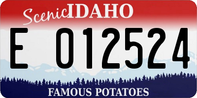ID license plate E012524