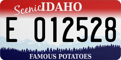 ID license plate E012528