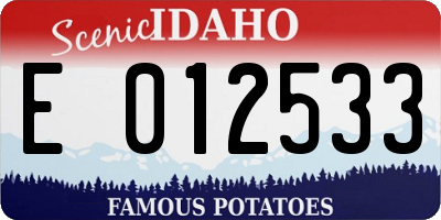 ID license plate E012533